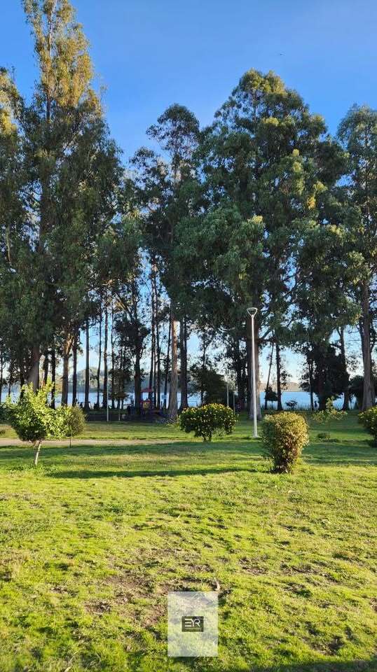 500219725_10235633326029355_579653135940197300_n (1) ARRIENDA HERMOSO DEPARTAMENTO EN SAN PEDRO DE LA PAZ