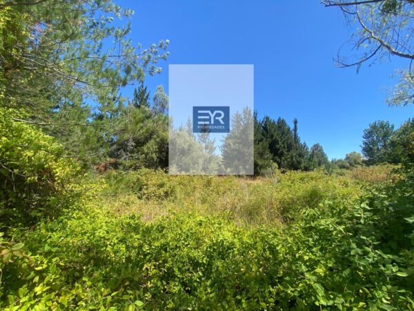 Imagen de WhatsApp 2025-02-18 a las 19.43.02_d71eca9f VENDE TERRENO EN QUILLÓN!