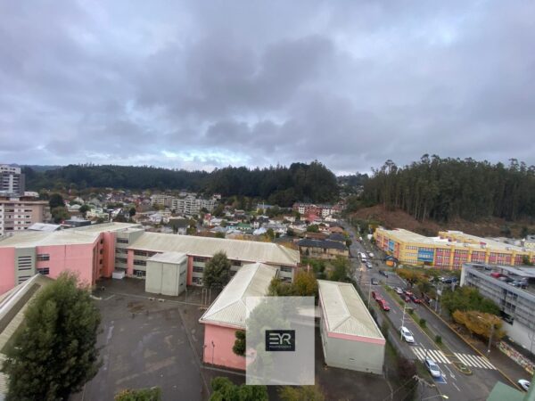 Imagen de WhatsApp 2025-06-06 a las 18.47.21_01fc7c60 VENDE DEPARTAMENTO EN CONCEPCIÓN